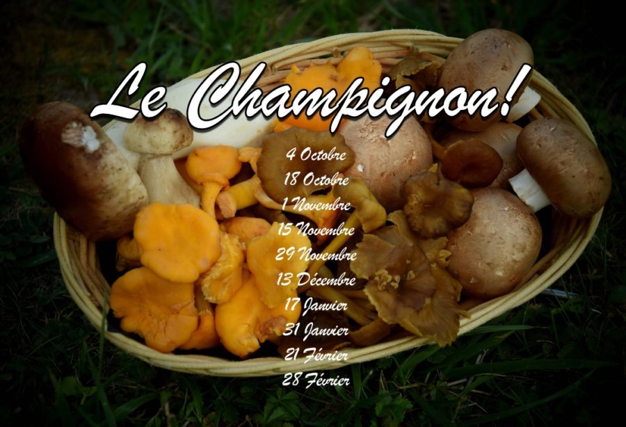 Le Champignon!