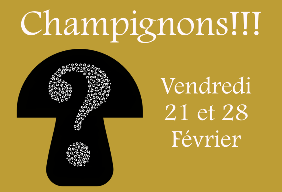 Champignons!!!! les dernières!